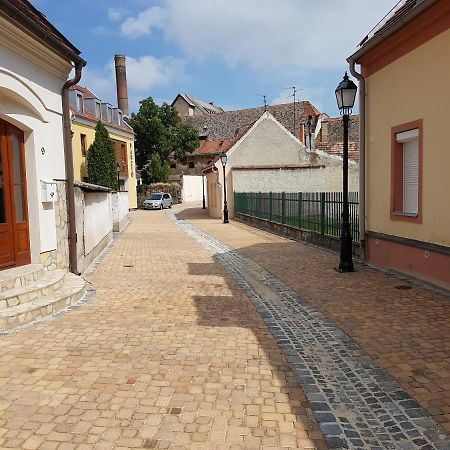 Apartman Kaszas Central Mosonmagyaróvár Dış mekan fotoğraf